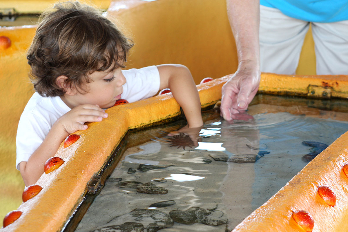 A child gets to experience a close encounter with sea creatures