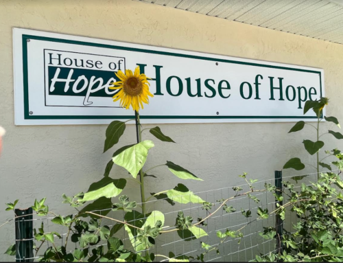 House of Hope creates edible landscape