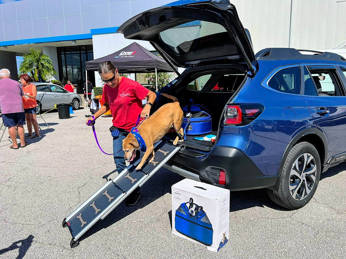 Dyer dealership annually holds a pet-adoption event