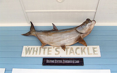 Customers who enter White’s Tackle on U.S. 1 in Fort Pierce often enjoy a laugh thanks to the sign over the entry door.