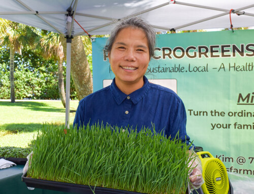 Growing a healthy business